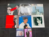 8x Gianna Nannini Schallplatten Sammlung LP Vinyl Singles Niedersachsen - Wunstorf Vorschau