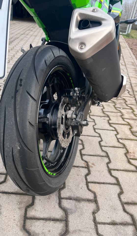 Kawasaki Ninja 125 in Landau in der Pfalz