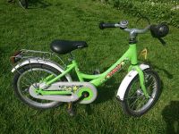 Puky Kinderfahrrad 16" Nordrhein-Westfalen - Blomberg Vorschau