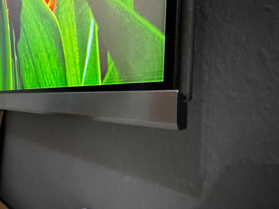 Panasonic Smart TV 65 4k  fxw 784 65zoll LCD/Led 100HZ aus03.2020 in Hamburg
