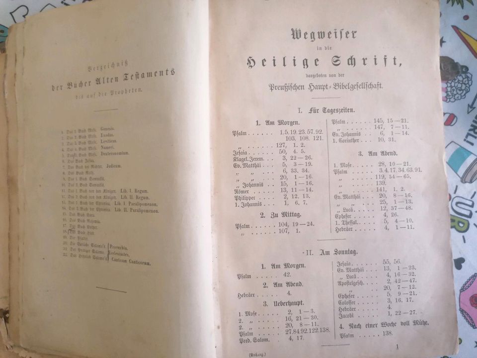 Alte Bibel, von 1885, Martin Luther, Rarität, Einzelstück!!!! in Zirchow