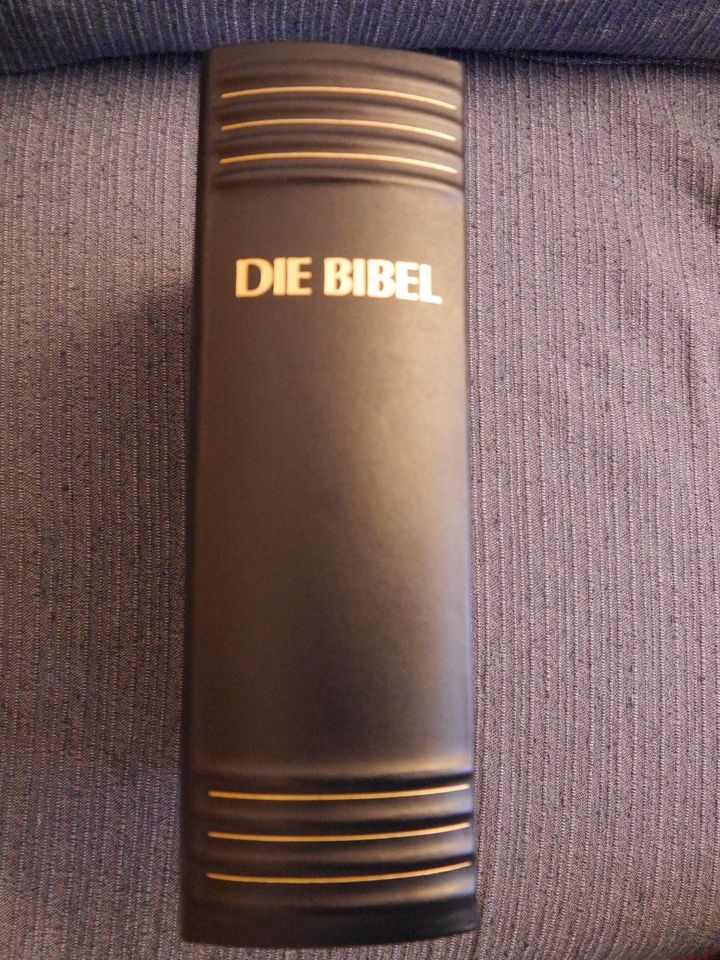 Die Bibel mit Bildern von Salvador Dali - Pattloch Verlag in Vörstetten