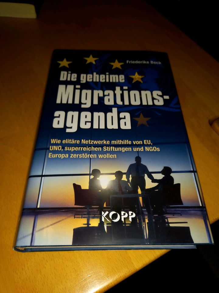 Buch über die geheime Migrationsagenda in Badenheim