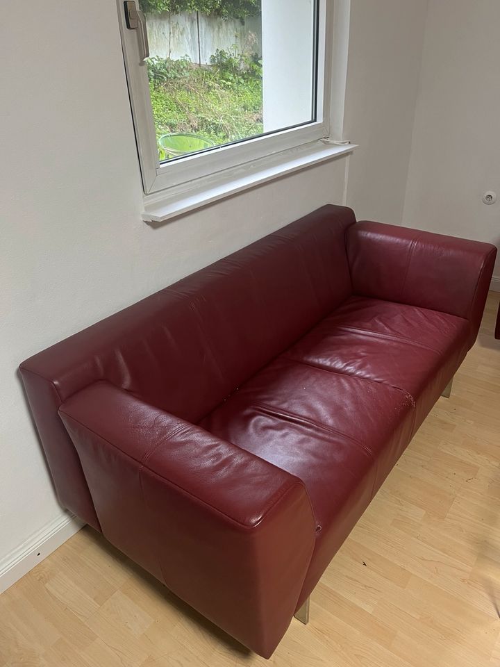 2x Rolf Benz Leder Sofa Linea rot in Bergisch Gladbach