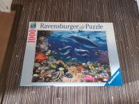 Puzzle 1000 Teile, Ravensburger, Delfine Rheinland-Pfalz - Hermersberg Vorschau