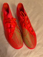 Adidas Predator Bayern - Trostberg Vorschau