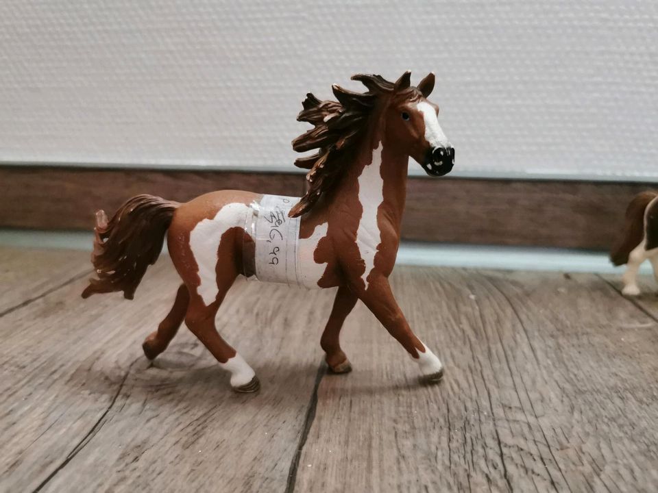 Schleich Pferde Pony Fohlen Border collie Welpe in Redwitz a d Rodach