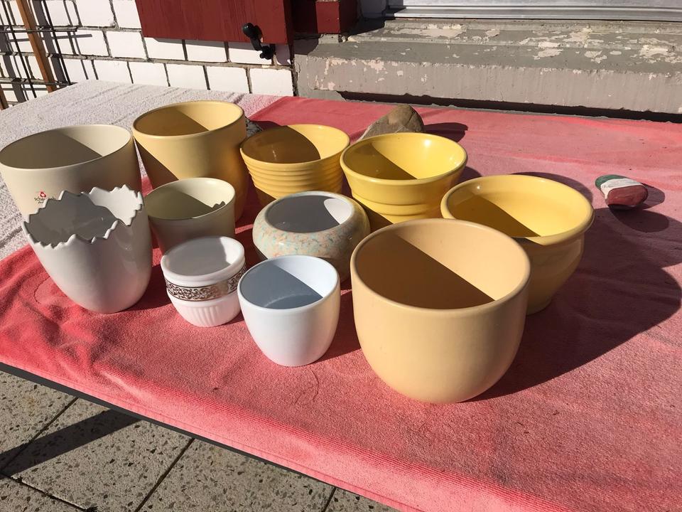 Verschiedene Blumentöpfe verschiedene Farben Garten Pflanzen in Oberreute