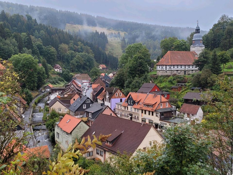 Ferienhaus Harz bis 4-10 Personen in Wildemann