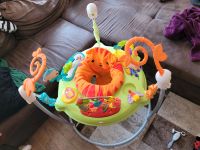 Baby Hopser Fisher Price Jumperoo Thüringen - Eisenach Vorschau