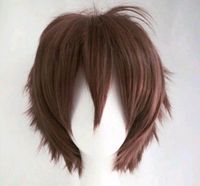 Braune Cosplay wig Niedersachsen - Neuenkirchen-Vörden Vorschau