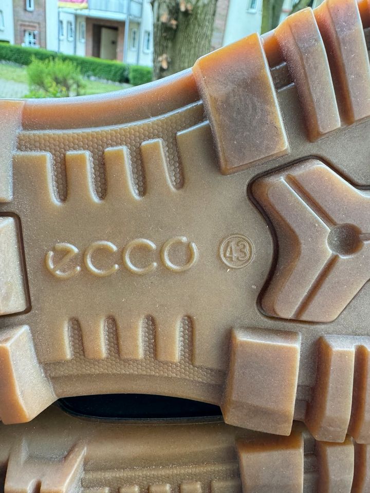 Ecco Trek 6 Schuhe PU Herren Gr. 43 in Hellbraun in Hamburg