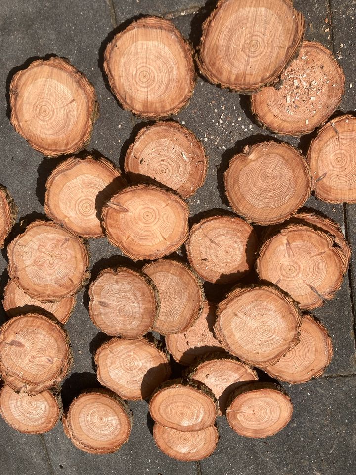 Holzscheiben Baumscheiben Holzdeko Hochzeitsdeko ab 50 Cent** in Klein Nordende