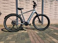 E-BIS FREITAG ❗️Bike Ebike Elektrorad Fahrrad Elektrofahrrad Hessen - Cölbe Vorschau