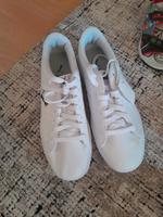 Puma Dammen schuhe neue grosse 40.5 Leipzig - Altlindenau Vorschau