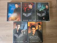 Verkaufe DVD Staffel Angel 1 -5 Bayern - Neuburg a.d. Donau Vorschau