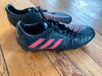 Adidas Fußballschuhe schwarz Größe 46 Kiel - Schreventeich-Hasseldieksdamm Vorschau