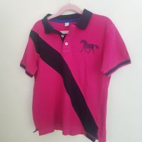 Poloshirt Pferde Reiten super Zustand 140 München - Maxvorstadt Vorschau