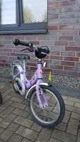 Puky Kinderfahrrad Nordrhein-Westfalen - Isselburg Vorschau