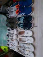 Turnschuhe von Adidas Brandenburg - Eberswalde Vorschau