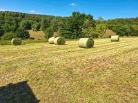 Wiesen, Weiden und Ackerland gesucht Thüringen - Steinbach-Hallenberg (Thüringer W) Vorschau