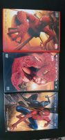 Spiderman 1-3 dvd trilogie Niedersachsen - Delmenhorst Vorschau