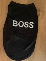 Pullover Hund Gr S Neu Boss Essen - Schonnebeck Vorschau