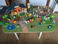 Playmobil Pferdehof Spieltisch Niedersachsen - Bad Harzburg Vorschau