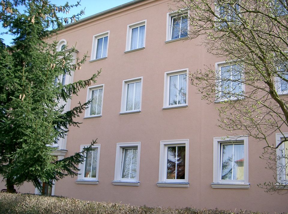 Schöne geräumige 4-Raumwohnung in Neukieritzsch