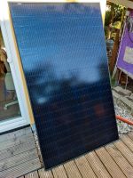 Solarmodule Solitek full black aus europäischer Produktion Dresden - Großzschachwitz Vorschau