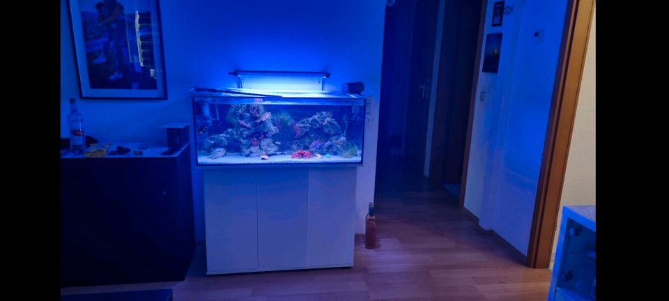 Verkaufe Aquarium mit Juwel Unterschrank 100x40x40 in Bietigheim-Bissingen