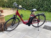 Raleigh Dover Impulse 8 HS 17 Hessen - Baunatal Vorschau