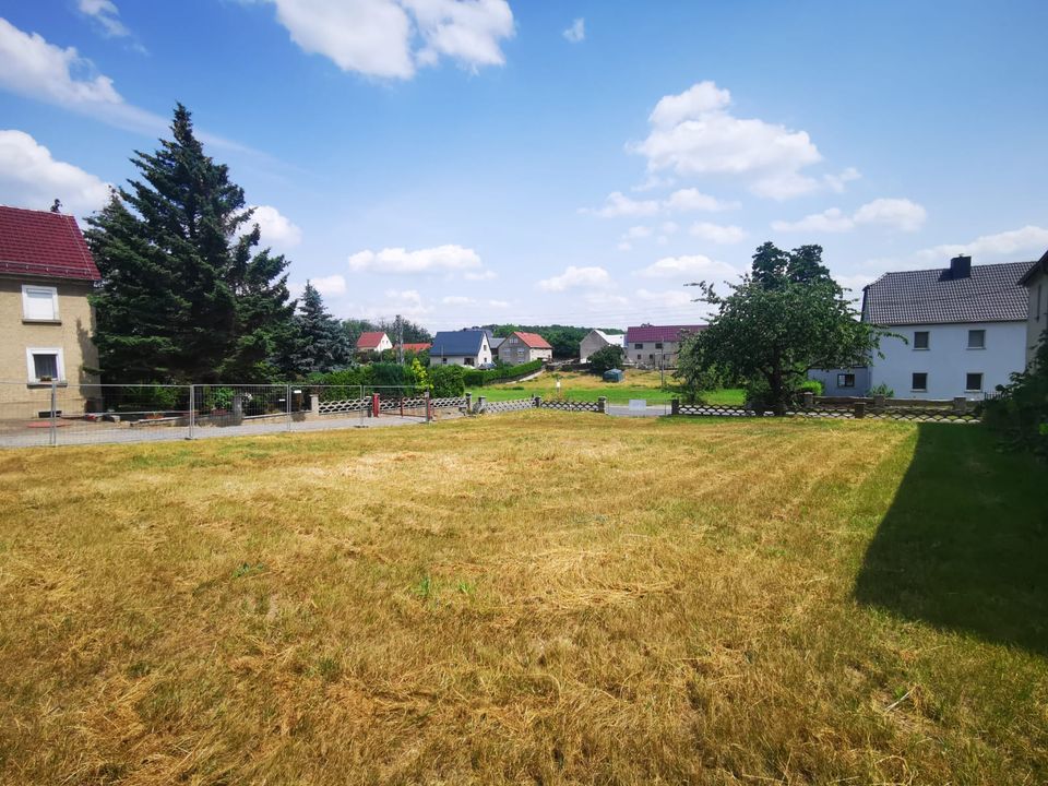 Bauplatz (sofort bebaubar) mit sehr guter Verkehrs-Anbindung für ein EFH oder ZFH in Neukirch (bei Königsbrück)