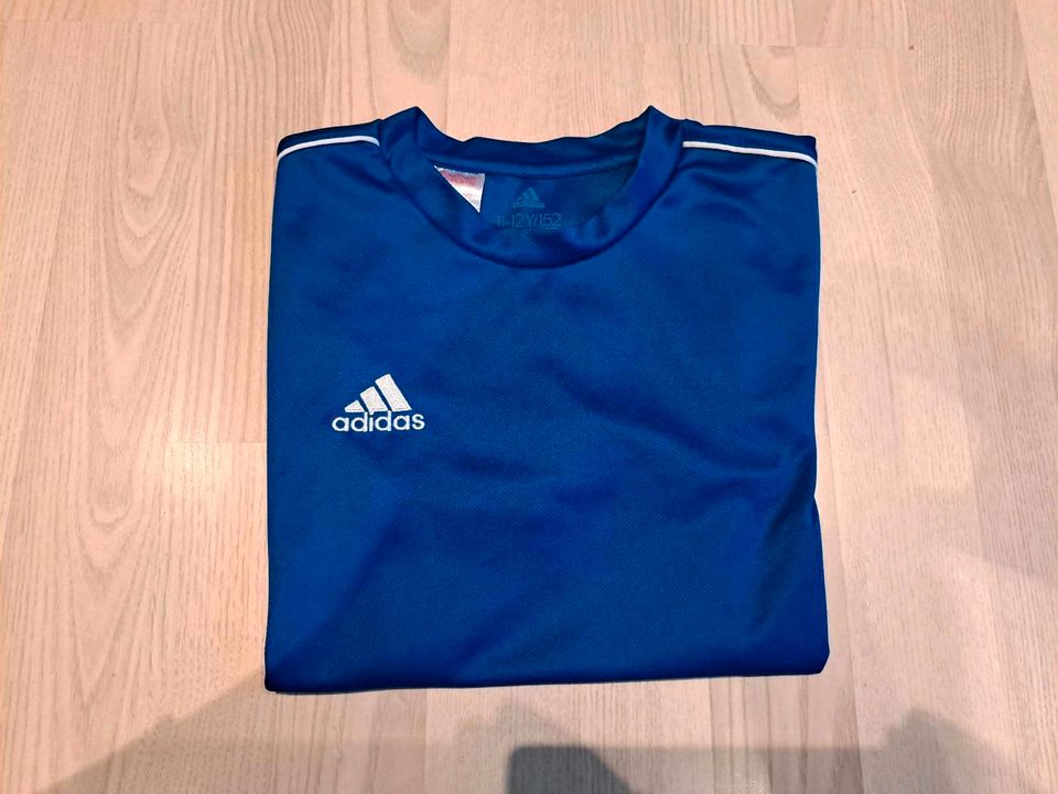 ADIDAS Sport T-Shirt Gr. 152 in Trendelburg