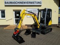 Miete Minibagger Wacker mit Tiefloeffel oder Raeumschaufel! Brandenburg - Gransee Vorschau