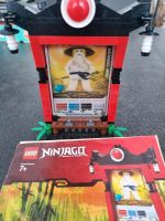 Lego ninjago 2856134 vollständig + Bauanleitung Nordrhein-Westfalen - Wadersloh Vorschau