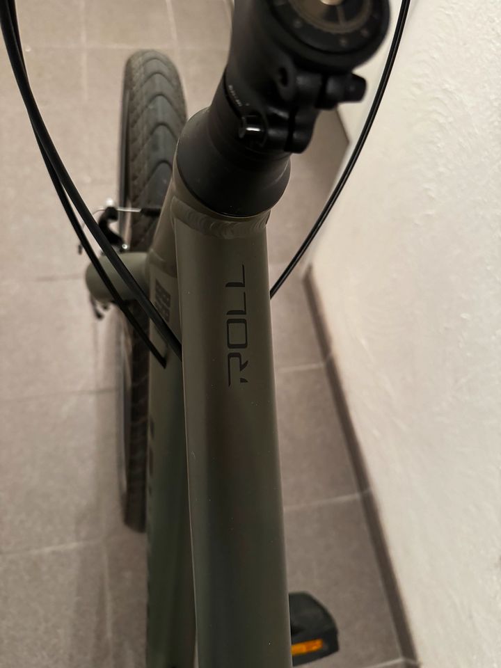 Specialized Roll Sport EQ Oliv Gr. M in Alsdorf