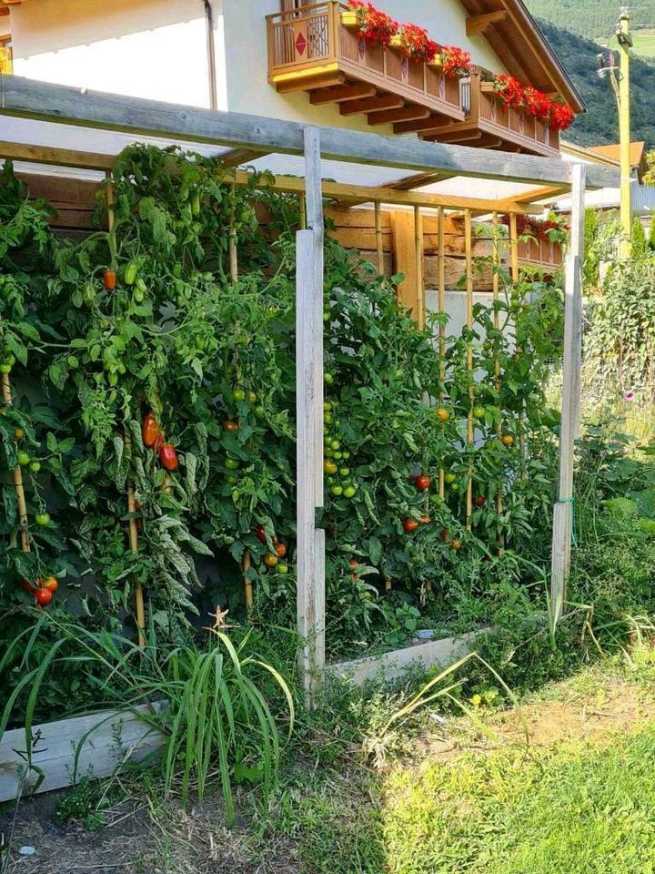 Ferienwohnung Bauernhof Südtirol Vinschgau Ferien Kinder U in Rheda-Wiedenbrück