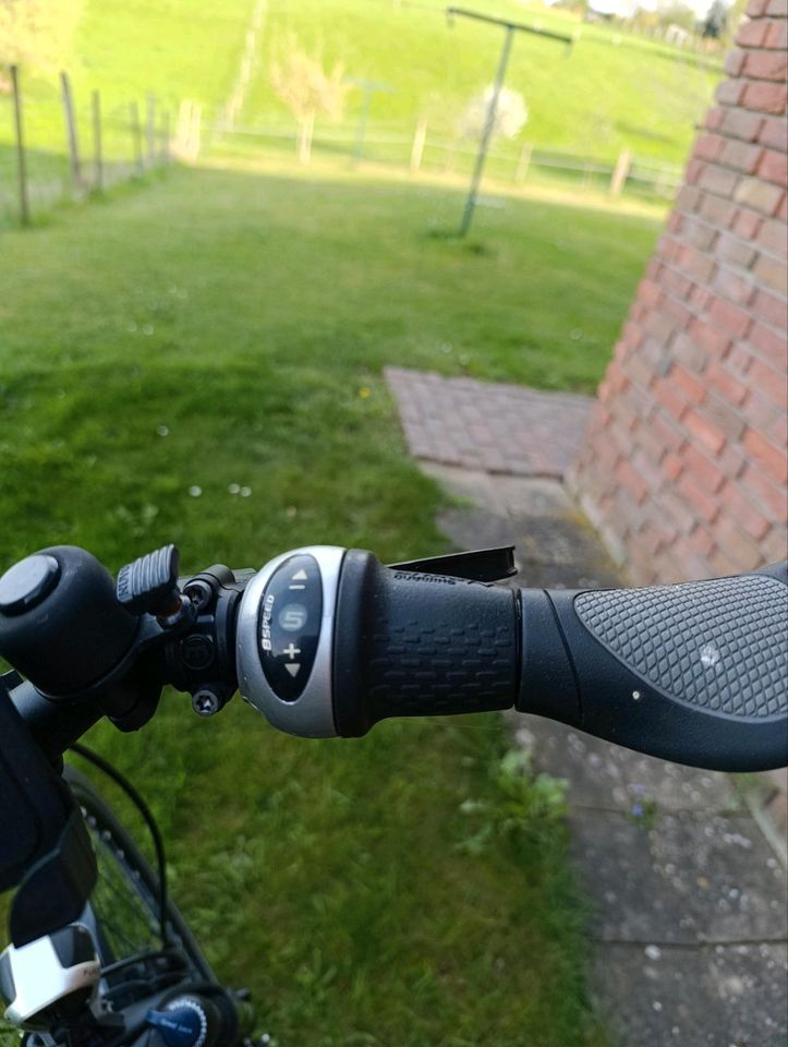 E Bike City Bike in Nideggen / Düren