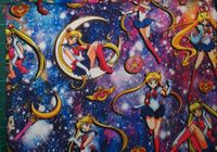 Angebot Sailor moon sweat Niedersachsen - Pattensen Vorschau