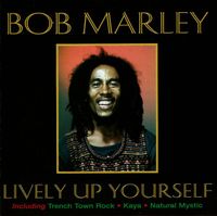 CD Bob Marley Lively Up Yourself Hessen - Wiesbaden Vorschau