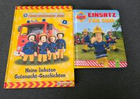 Feuerwehrmann Sam Bücher Sachsen - Demitz-Thumitz Vorschau