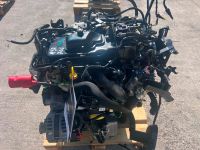 MOTOR M9R716 M9R 716 2.0 DCI 23.755KM KOLEOS II TRAFIC III Niedersachsen - Braunschweig Vorschau