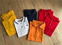 Poloshirt Poloshirts Größe 122 Next Topolino Nordrhein-Westfalen - Borchen Vorschau