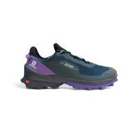 Neu Damen Wanderschuhe Salomon Gr 42 Saarland - Neunkirchen Vorschau