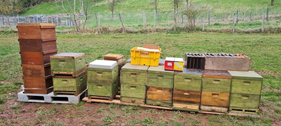 Bienenkisten Bienenbeuten 11 er Beute in Schleiden