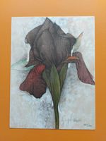 Bruno Bruni "Iris" 1990, Originallithografie, handsigniert Baden-Württemberg - Reutlingen Vorschau