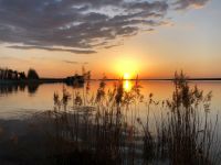 Ferienwohnung Waldklause, Geierswalder See, Lausitzer Seenland Sachsen - Elsterheide Vorschau