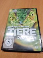 Die verrücktesten Tiere der Welt, DVD Rheinland-Pfalz - Haßloch Vorschau