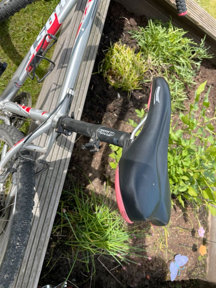 Mountain Bike Ghost Farbe grau in Iserlohn